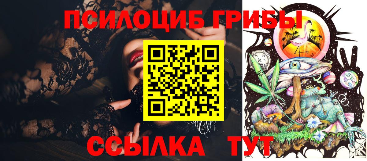 Баксан  Псилоцибиновые грибы мицелий  Вход с VPN 