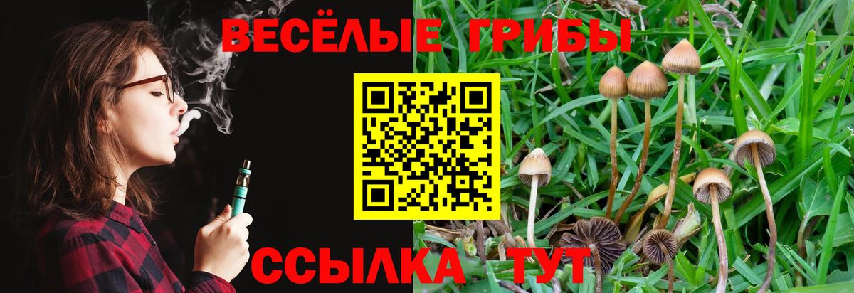 Галлюциногенные грибы мицелий Баксан